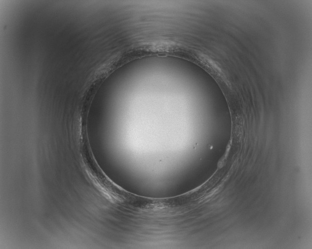 X0000073950589200609051755