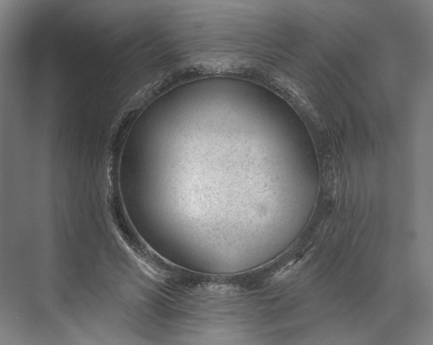 X0000073950590200609051755