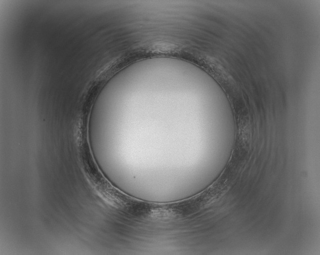 X0000073950591200609051755