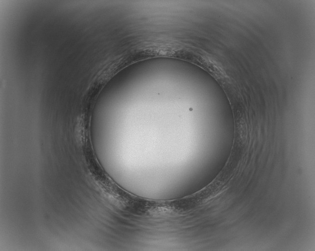 X0000073950594200609051755