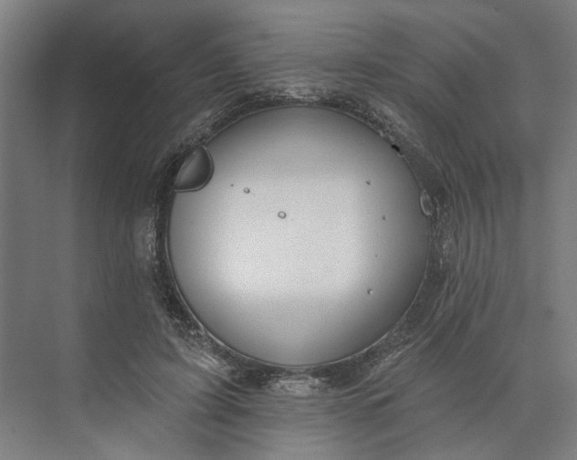 X0000073950595200609051755