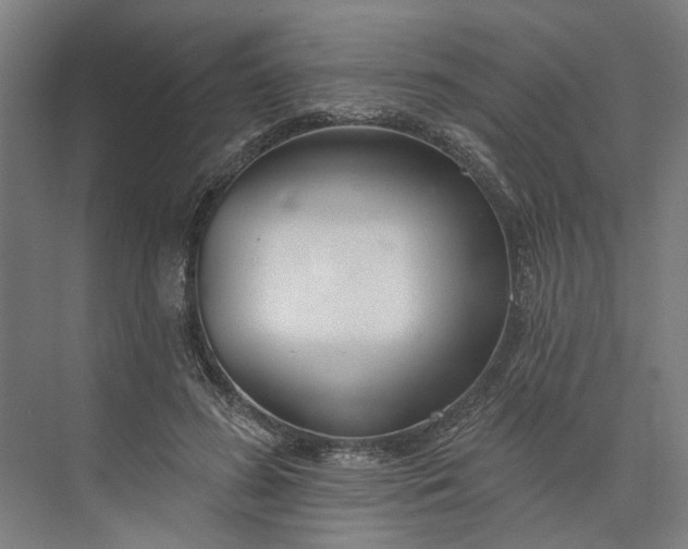 X0000073950596200609051755