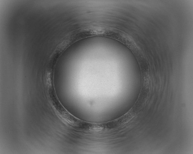 X0000073950598200609051755