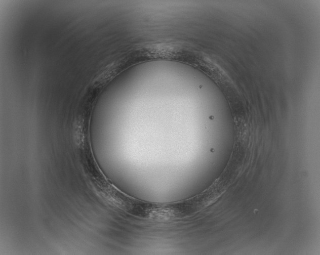 X0000073950599200609051755