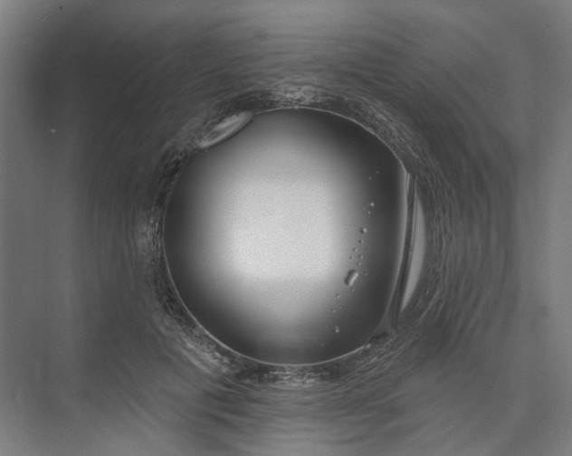 X0000073950601200609051755