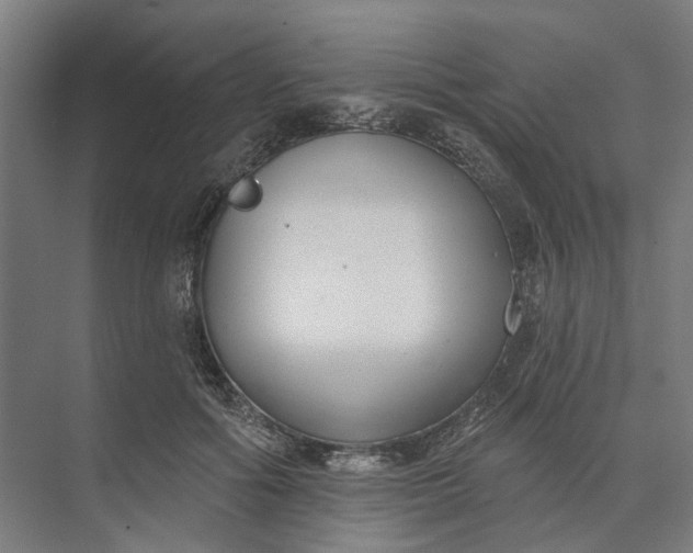 X0000073950602200609051755