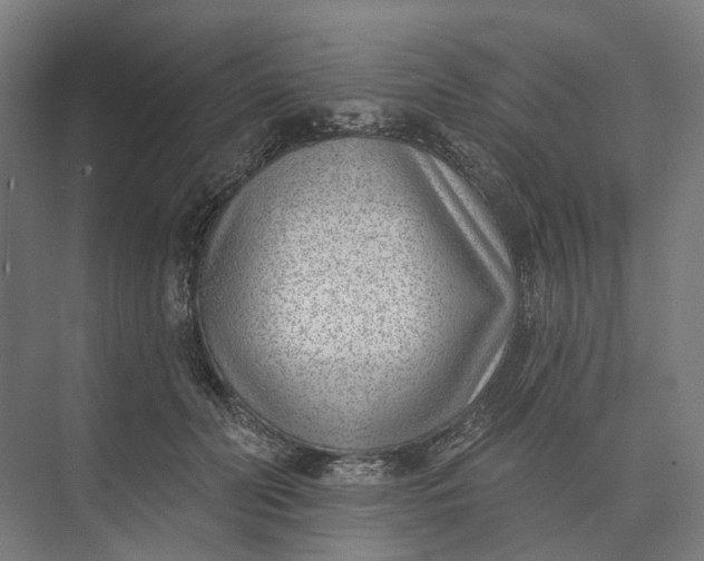 X0000073950606200609051754