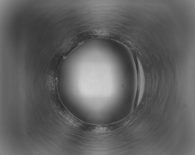 X0000073950609200609051754