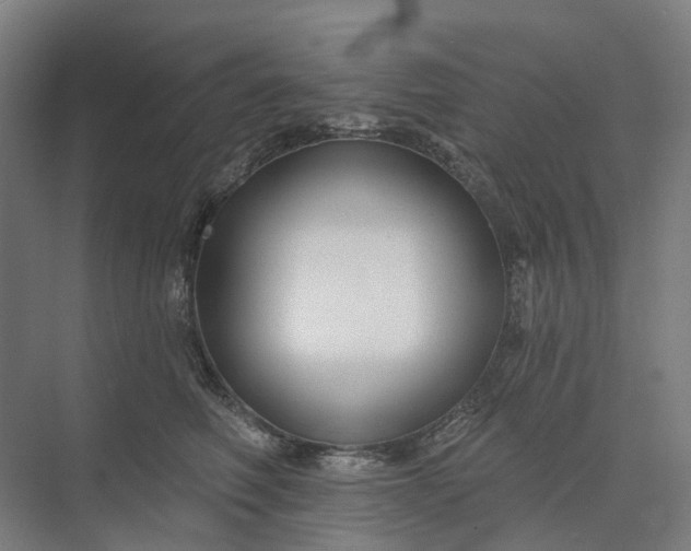 X0000073950614200609051754