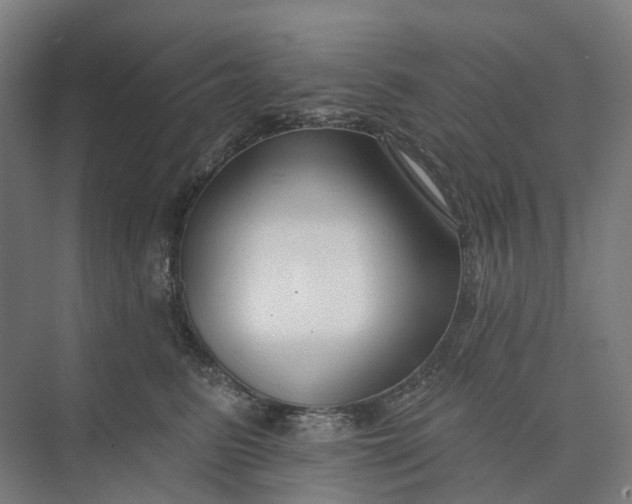 X0000073950615200609051754