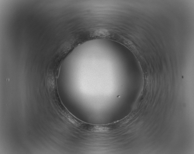 X0000073950617200609051754