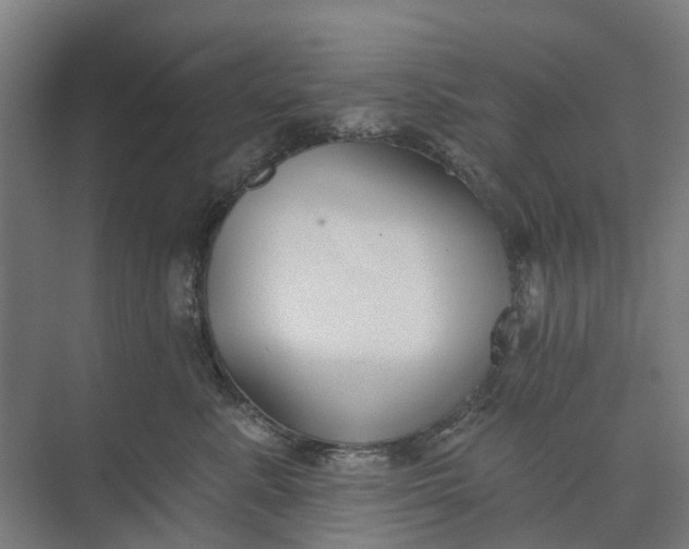 X0000073950619200609051754