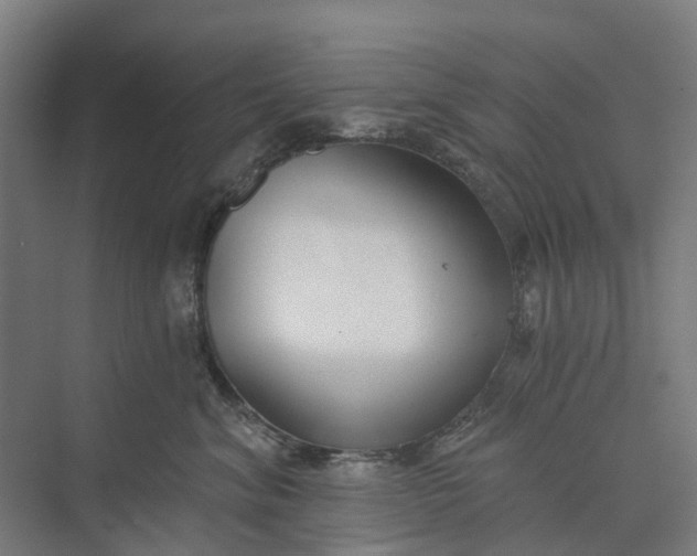 X0000073950620200609051754