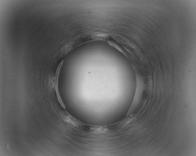 X0000073950621200609051754