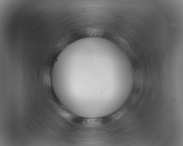 X0000073950622200609051754