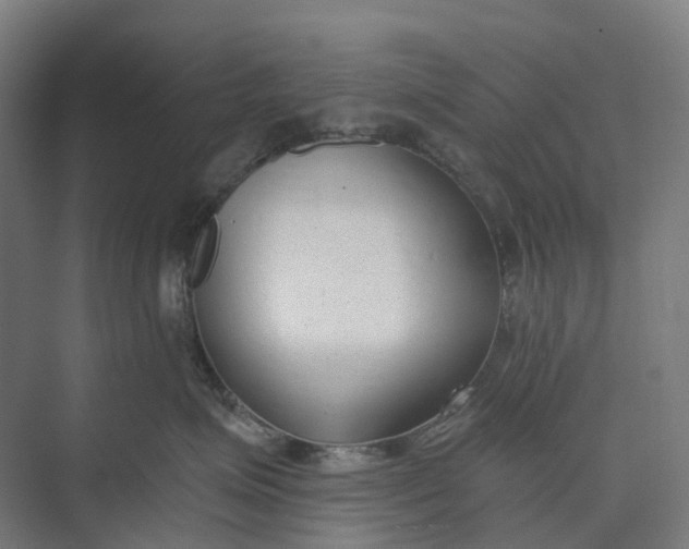 X0000073950623200609051754