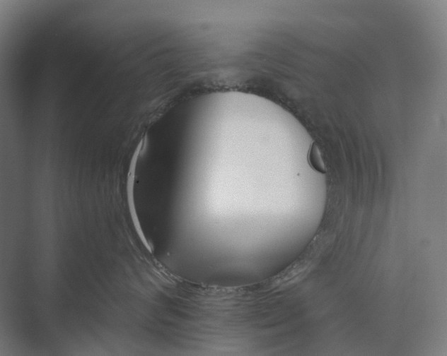 X0000073950624200609051754