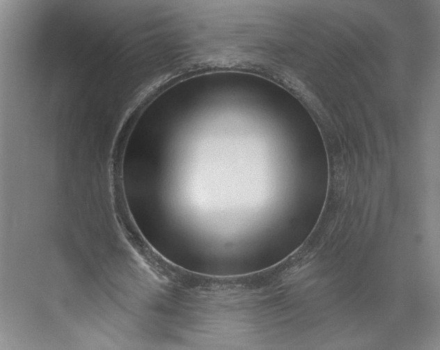 X0000073950626200609051753