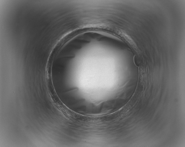 X0000073950628200609051753