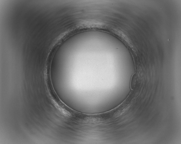 X0000073950629200609051753