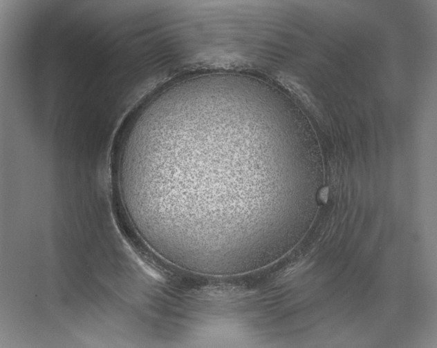 X0000073950630200609051753