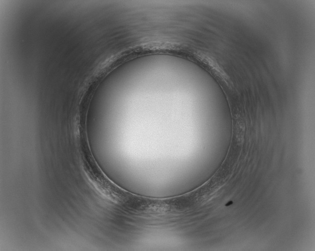 X0000073950631200609051753