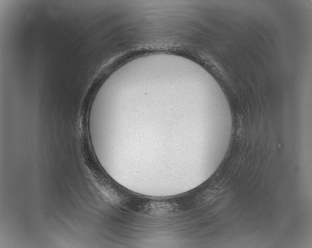 X0000073950636200609051754