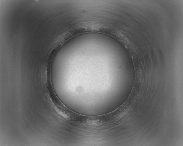 X0000073950638200609051754