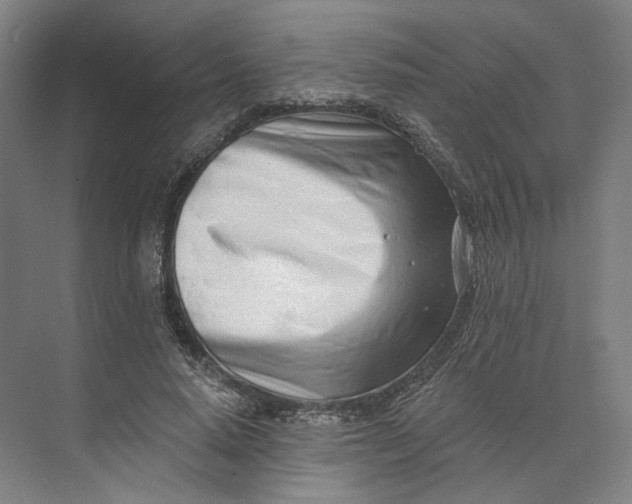 X0000073950640200609051754