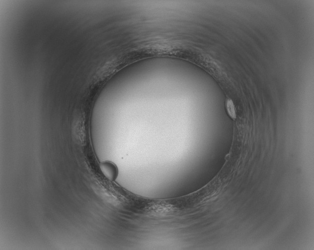 X0000073950642200609051754