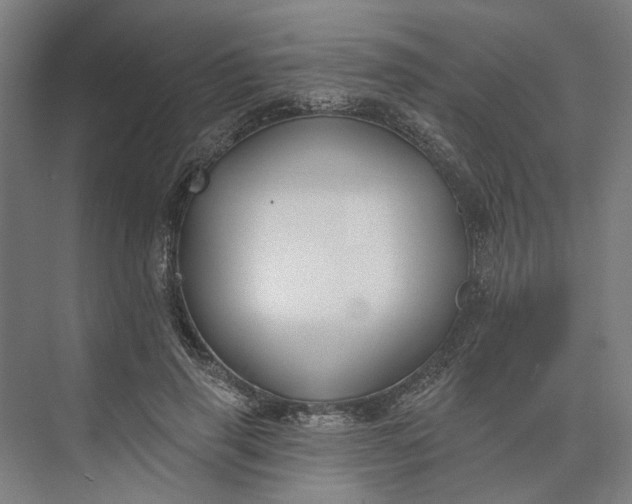 X0000073950645200609051754