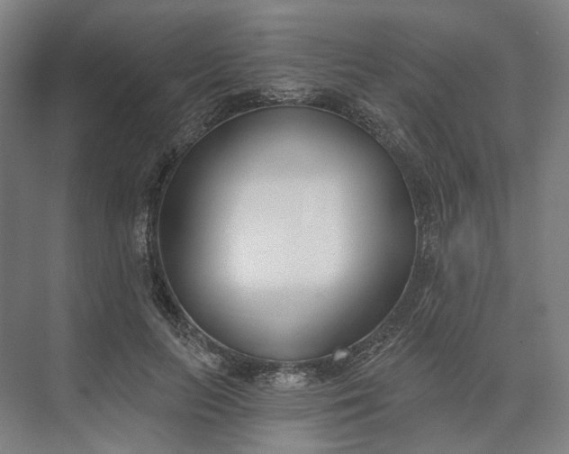 X0000073950647200609051754