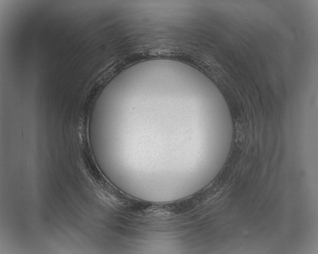 X0000073950648200609051754