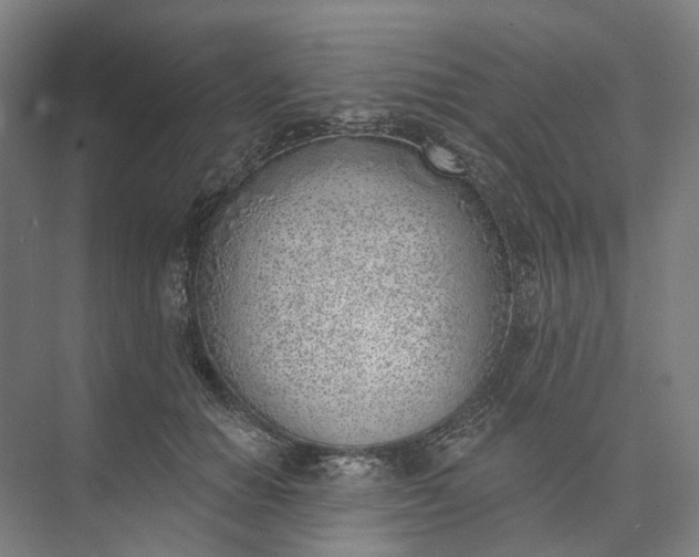 X0000073950654200609051754