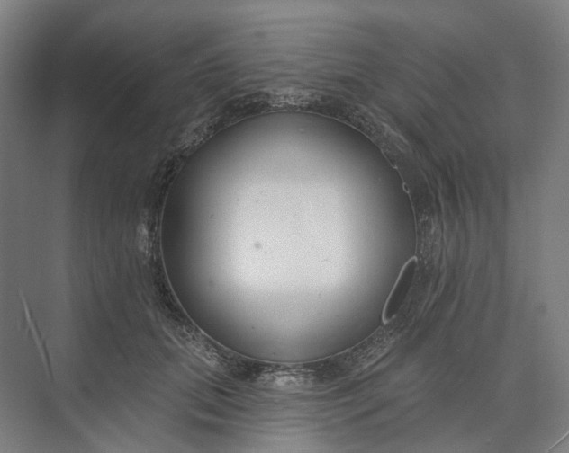 X0000073950655200609051754