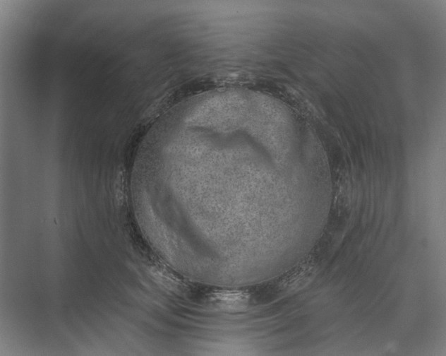 X0000073950659200609051754