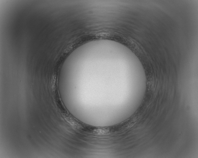 X0000073950660200609051754