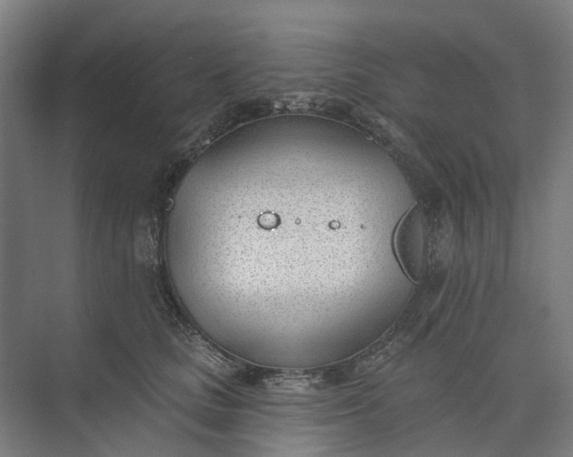 X0000073950661200609051754