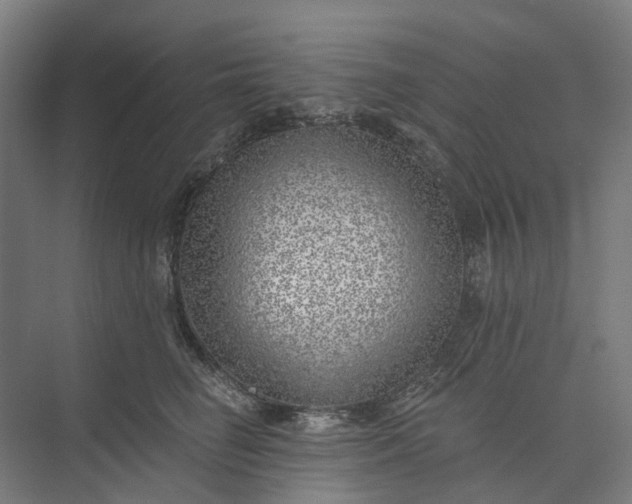 X0000073950662200609051754