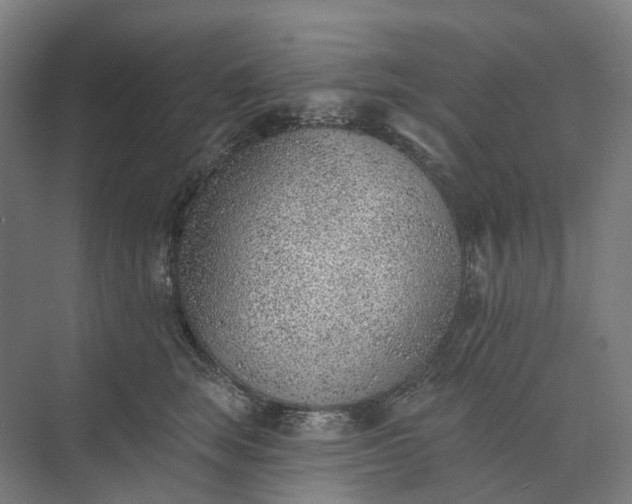 X0000073950663200609051754