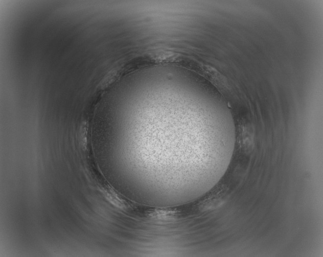 X0000073950664200609051754