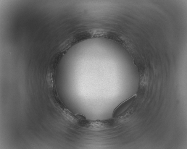 X0000073950666200609051754