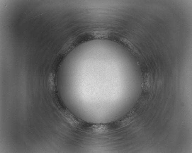 X0000073950667200609051754