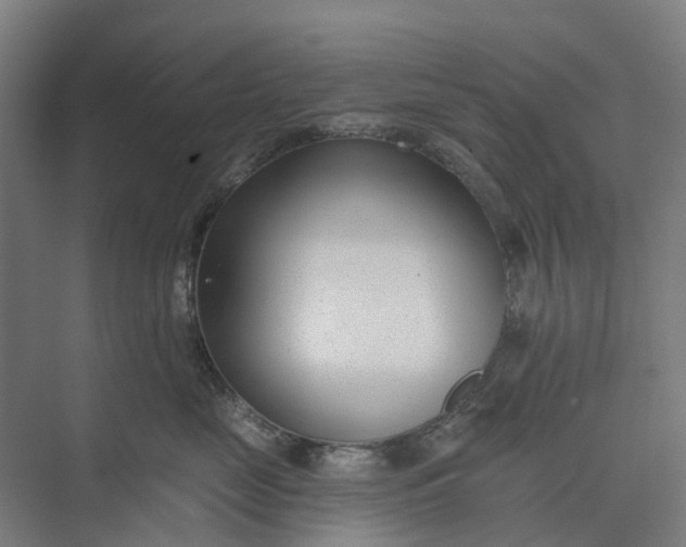 X0000073950669200609051754