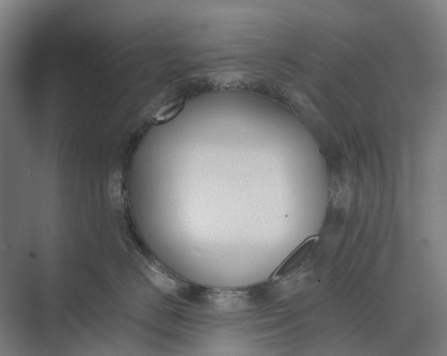 X0000073950670200609051754