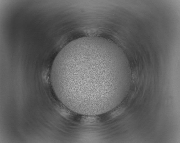 X0000073950671200609051754