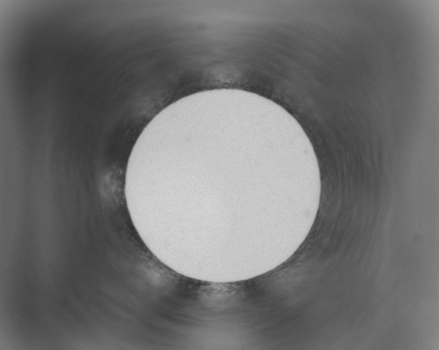 X0000073950672200609051754