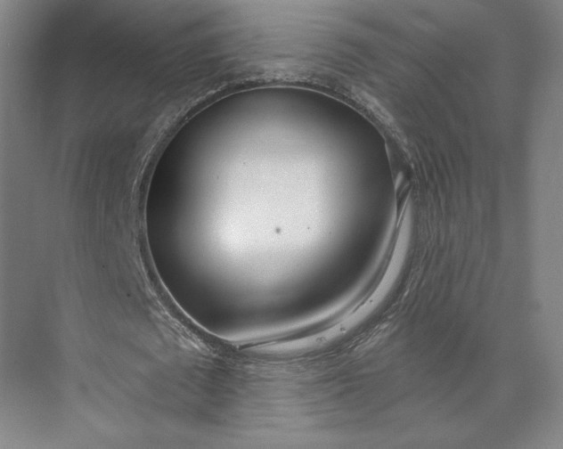 X0000073950673200609051753