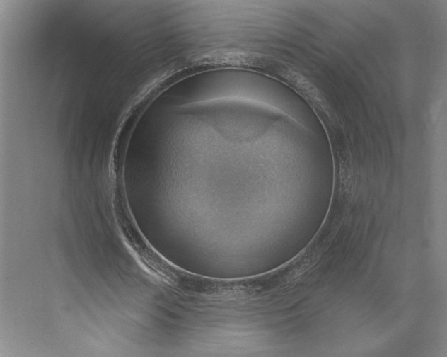 X0000073950674200609051753