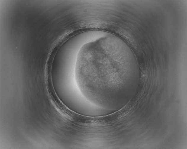 X0000073950678200609051753